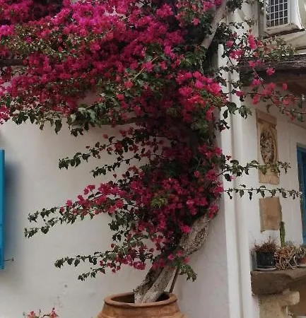 Panaria * Panarea